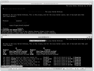 oben: lynx, unten: links