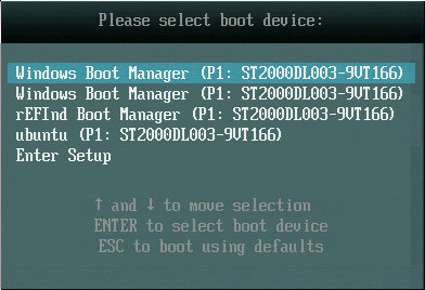 A typical EFI boot manager display is very
    rudimentary.
